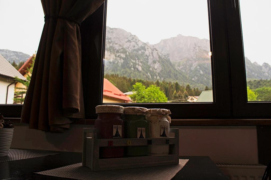 Apartament Mountain Life Buşteni Exterior foto
