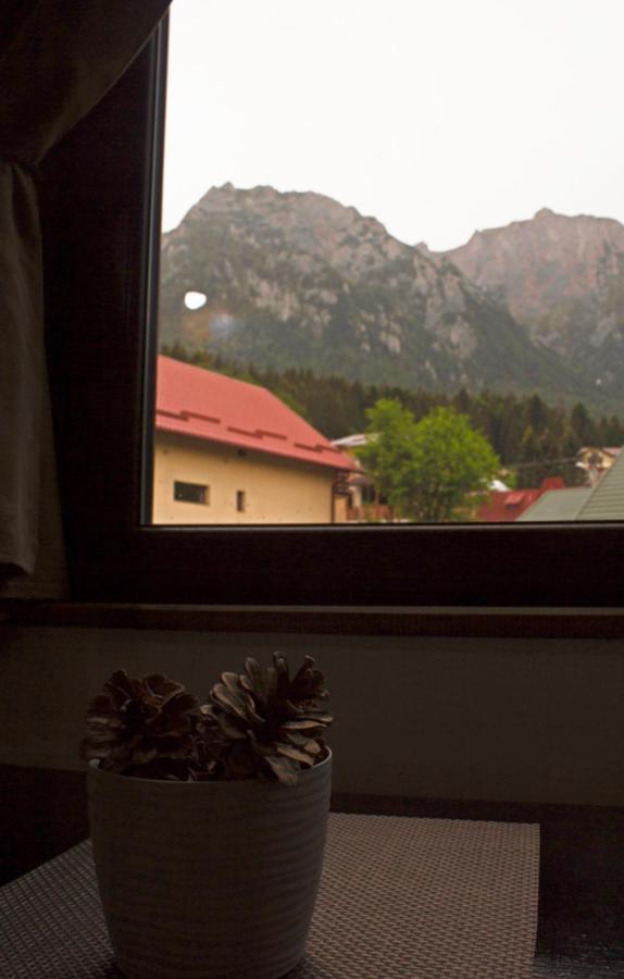 Apartament Mountain Life Buşteni Exterior foto