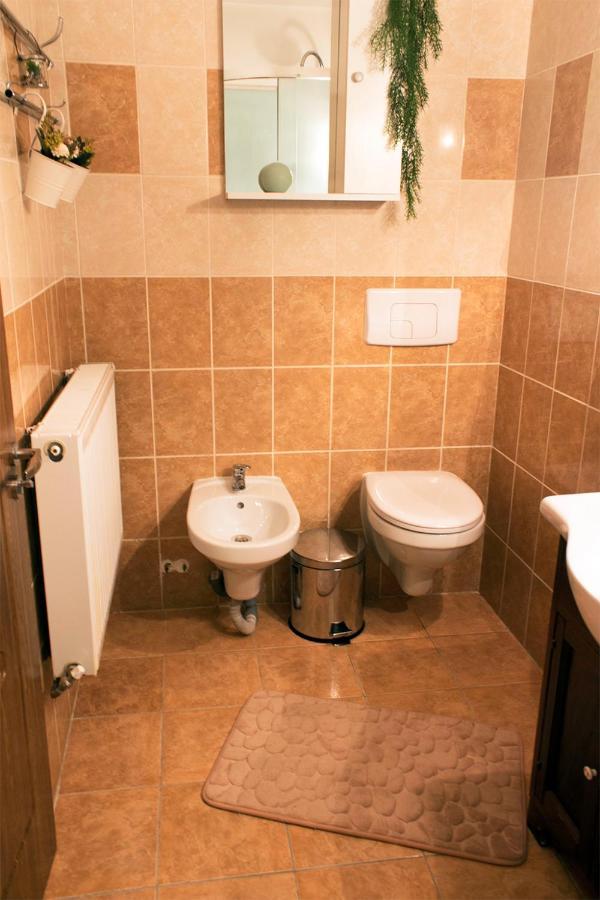 Apartament Mountain Life Buşteni Exterior foto